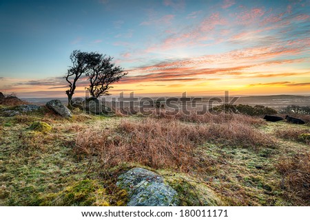A frosty March sunrise at Helman Tor a craggy outcrop of rugged moorland near Bodmin in Cornwall