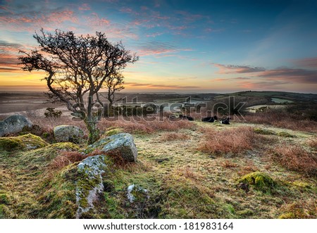 March sunrise at Helman Tor, rugged moorland near Bodmin in Cornwall