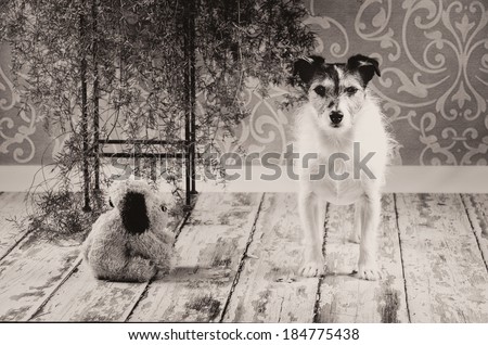 Vintage Dog With Toy