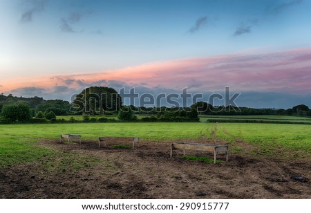 Dusk in the English countryside looking out over a farmers field to a stand of beech trees