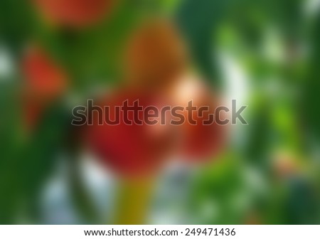blurred abstract background with peaches for your design