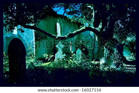 Spooky Graveyard