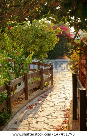 Cozy evening tropical garden stone path between wooden fences with fallen purple petals
