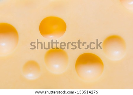 Close up texture Dutch cheese with holes, food background