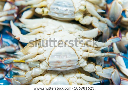 swimming crab in market