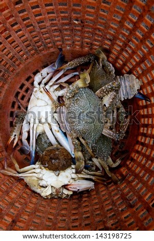 Fresh Crabs in red basket
