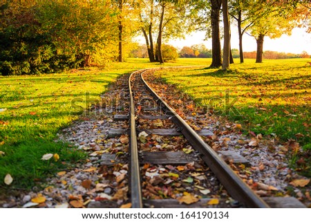 Small railway track covered with leafs in autumn