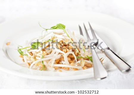 Assorted sprouts salad on white plate