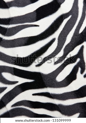 Zebra skin Pattern texture