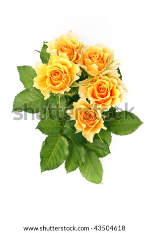 white and yellow rose bouquets. stock photo : Bouquet of yellow roses on white background