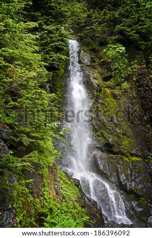 Forest Waterfall. A beautiful waterfall seen on the Heliotrope Ridge Trail in the Mt. Baker National Forest in western Washington State, USA.