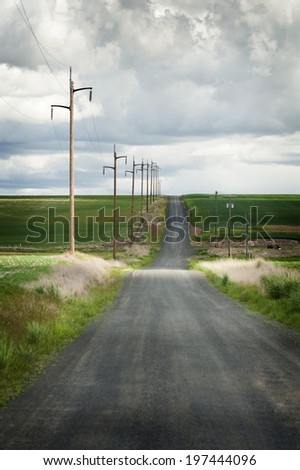Palouse Country Road. A dirt road heads off into the Palouse area of eastern Washington state. Farm fields and not much more has a beauty all its own in one of the most interesting parts of the state.