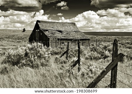 Old Barn. Many of these abandoned barns can be seen along the roadway of the Palouse area of eastern Washington state. Desert surrounds the homestead with sagebrush and grasses for miles.