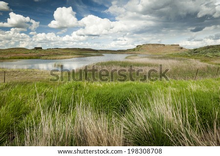 Desert Lake. A small lake seen in the Palouse area of eastern Washington. Reeds and grasses surround the lake with a rock butte in the background.