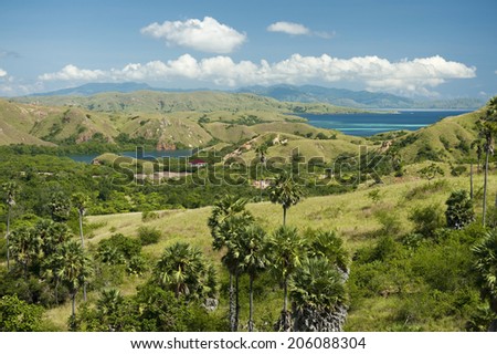 Rinca Island, Indonesia.Rinca is a small island near Komodo island, East Nusa Tenggara, Indonesia. The island is famous for komodo dragons, giant lizards that can measure up to 3 metres (9.8 ft) long.