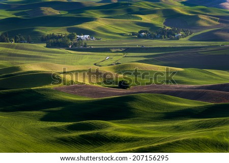 Washington Palouse.. The view of the farmland in eastern Washington as seen from Steptoe Butte State Park at sunset. The low light and low rolling hills is unique to the area-almost painterly.