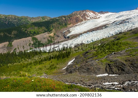 Mt. Baker and the Coleman Glacier. The Coleman Glacier located, in the Mt. Baker-Snoqualmie National Forest, is awash with wildflowers during the summer month of August.