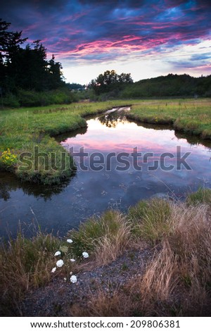 Island Wetland. Sunset on an island in the San Juan Island archipelago of Puget Sound in the great Pacific Northwest. This grassland is located on the coastline of the Salish Sea in Washington State.