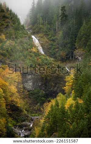 Autumn Scenery in the North Cascade Mountains. Big leaf maple trees line a small stream as it cascades down the mountainside in western Washington state.