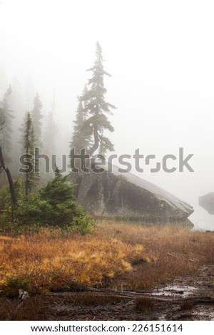 Cutthroat Lake in the fog. A small lake in the North Cascade Mountain range is surrounded by fog on this autumn day in October giving it a spooky feel.