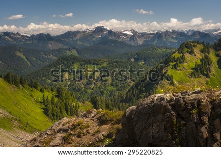 Sauk Mountain, Washington, USA. The North Cascade mountain range in its full glory with a 360 degree view of the entire western Washington landscape. Wildflowers are in bloom on this warm summer day.