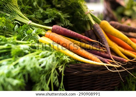 freshly harvested, colorful organic carrots in a basket at farmer\'s market. selective focus, horizontal, close up.