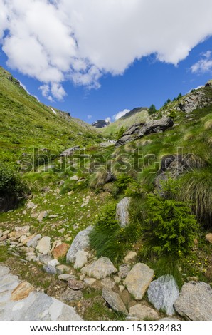 View of the Alps with rocks and vegetation in the summer in northern Italy, Lombardy, the region of Brescia Adamello peak on a clear day