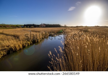 Row Boat in a Stream flowing through a field of reeds. Sun with flare in the blue sky.