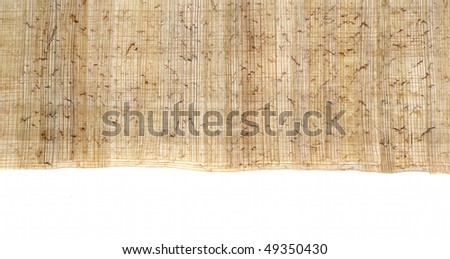 Egyptian Papyrus for headers or footers