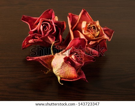 Dried roses on the table of dark wood. Dry flowers collection.