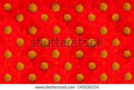 red flowers,background