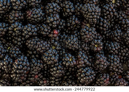 Lost of blackberries as a background