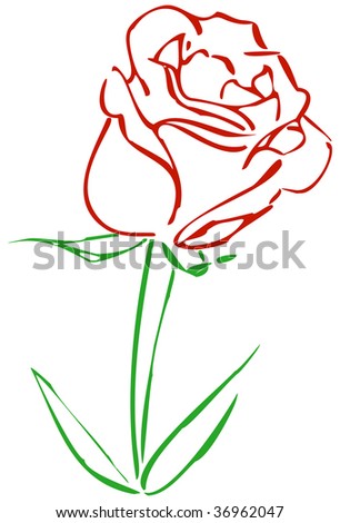 Colored, vector sketch of a red rose.