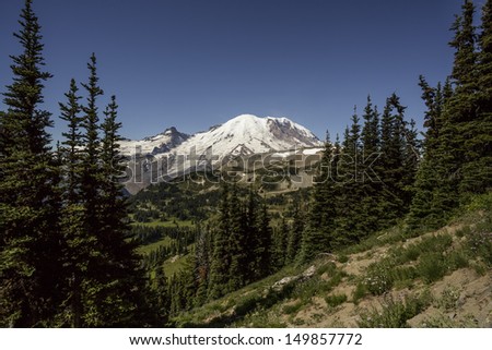A view of Mt. Rainier in Mt. Rainier National Park from the Sourdough Ridge Trail with clear blue sky and framed with evergreen trees.