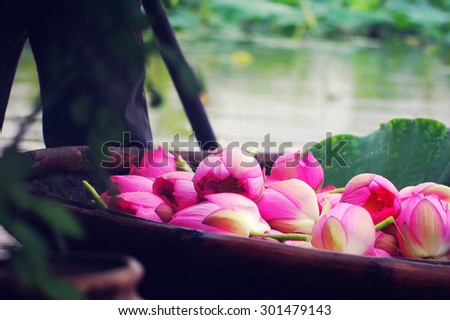 Lotus in boat in a lake in Hanoi, Vietnam