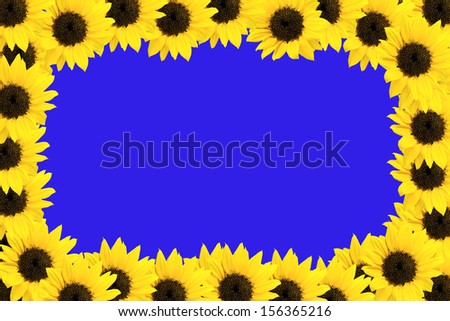 Frame made up of sunflower on blue background