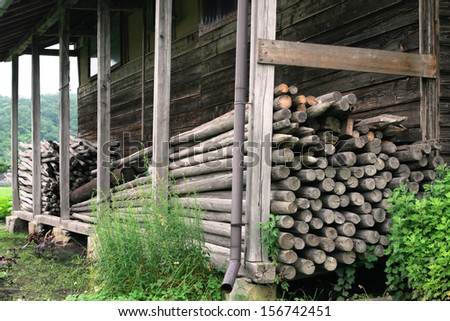 Raw de-barked pine wood logs in a lumber staging and storage yard