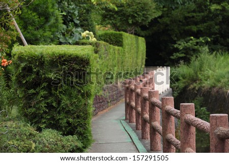 Fence and the path near the hedge in garden