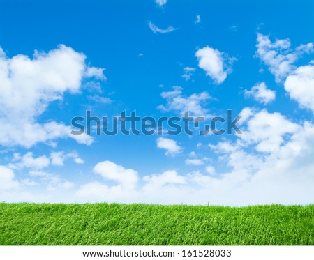A field of green grass and blue sky with clouds.
