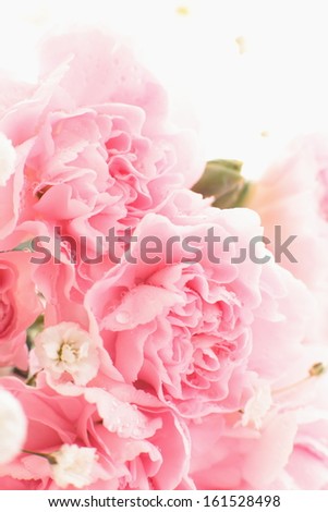 A bouquet of pink carnations and white baby\'s breath.