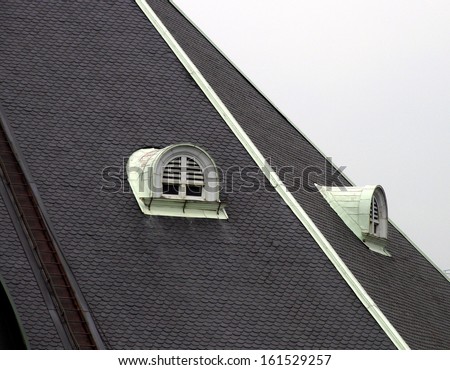 A pair of arched windows on a slanted roof.