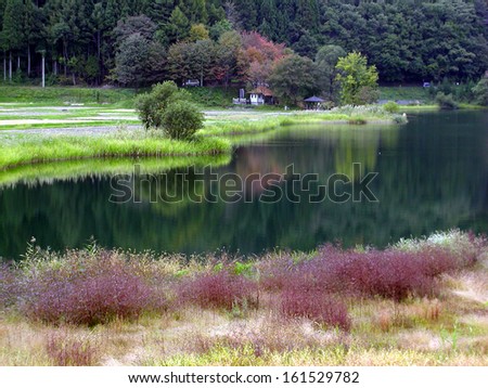 Landscape of grass and trees beside a still body of water.