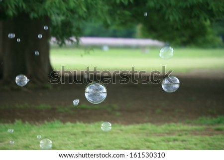 Soap bubbles with a large tree in the background.