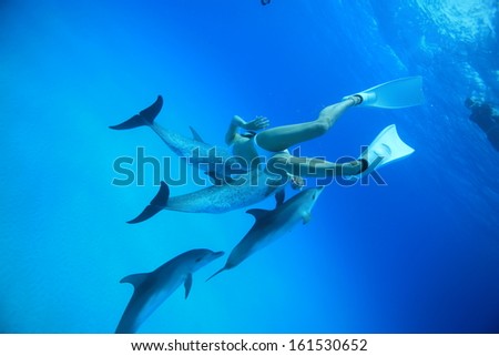 A woman swimming with four dolphins in bright blue water.