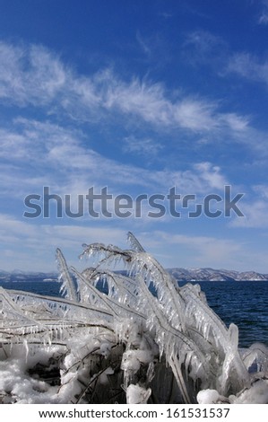 A branch coated in ice next to a body of water.