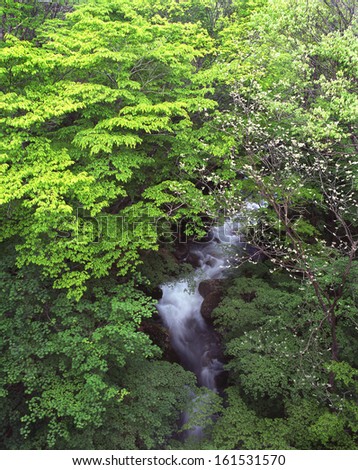 A small stream of water rushing down a large mountain filled with trees.
