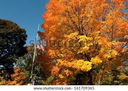 The orange and yellow leaves of a tall tree next to the American flag.
