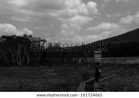 A person carrying many boxes on his back while walking on a plank footpath.