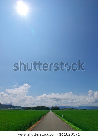 A clear road with grass on both sides on a sunny day.