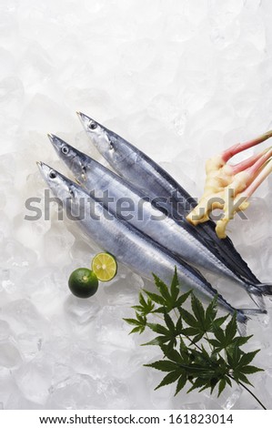 Three silvery scaled fish with lime and greens over ice.